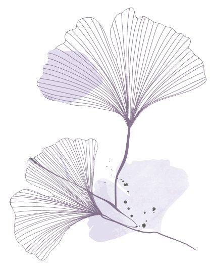 Decorative ginkgo flower illustration
